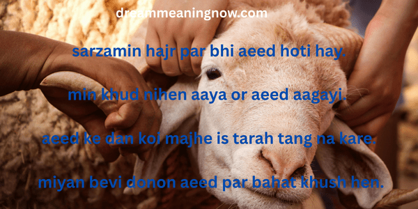 Eid Al-Adha Quotes 
