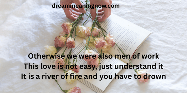 love poetry love​ in english 
