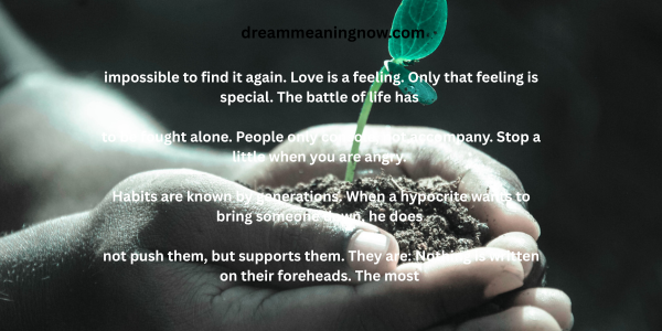 Top Best Life Quotes in english
