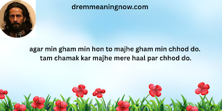 Ali Zaroun Poetry in Urdu