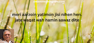 shayari by gulzar