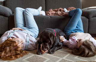 women dog laying Dreaming About Dogsfloor