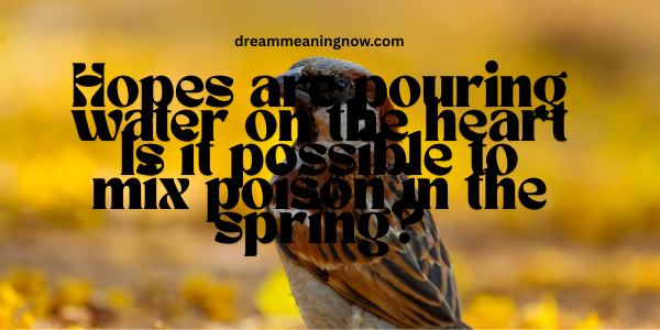 Top Best English Poetry Quotes About Life