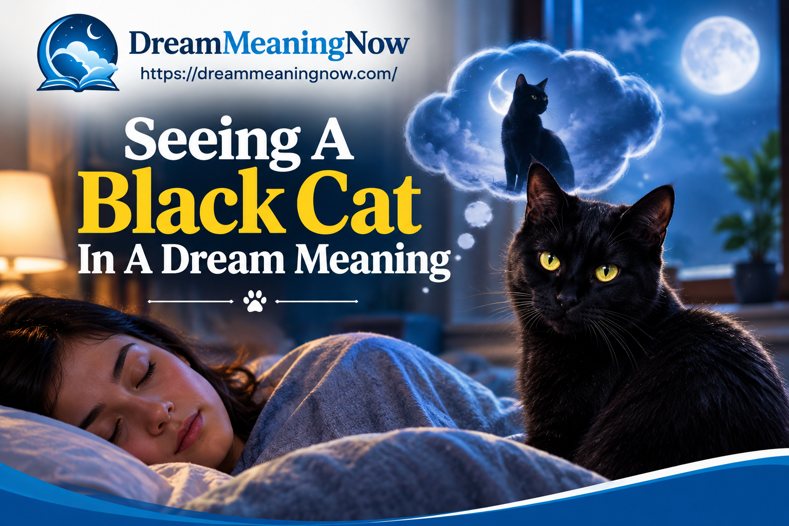 Black Cat in a Dream Meaning