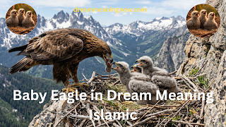 Baby Eagle in Dream Meaning Islamic