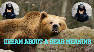 Dream About a Bear Meaning