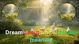 Dream about white chicken meaning