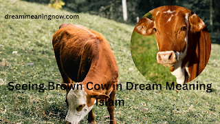 Seeing Brown Cow in Dream Meaning Islam