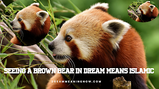 Seeing a brown bear in dream means islamic