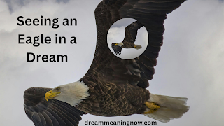 Seeing an Eagle in a Dream