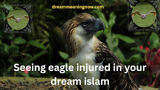Seeing eagle injured in your dream islam
