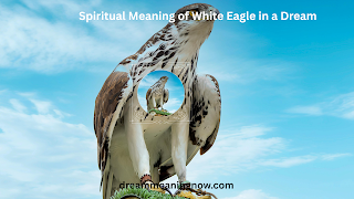 Spiritual Meaning of White Eagle in a Dream