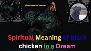 Spiritual Meaning of black chicken in a Dream