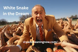 White snake in dream meaning in Islam