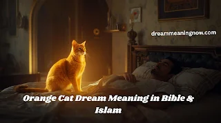 Orange Cat Dream Meaning