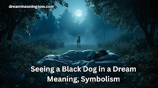 What does it mean to see a black dog in your dream