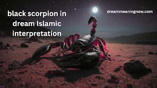 black scorpion in dream Islamic interpretation
