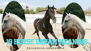 10 Horse Dream Meaning