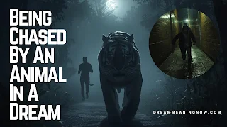 Being Chased By An Animal In A Dream