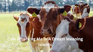 Cow Attacking Me In A Dream Meaning Islamic