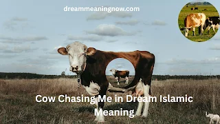 Cow Chasing Me in Dream Islamic Meaning