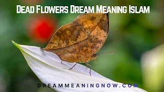 Dead Flowers Dream Meaning Islam