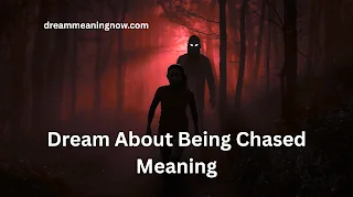 Dream About Being Chased Meaning
