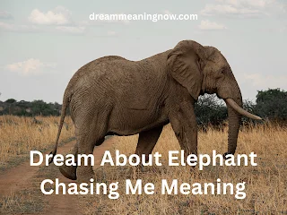 Dream About Elephant Chasing Me Meaning