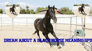 Dream About a Black Horse Meaning Spiritual