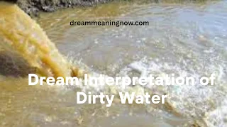 dirty water in a dream