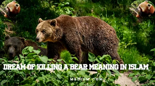 Dream of Killing a Bear Meaning in Islam