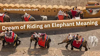 Dream of Riding an Elephant Meaning