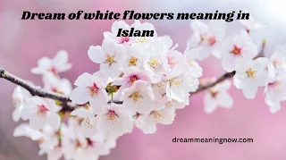 Dream of white flowers meaning in Islam