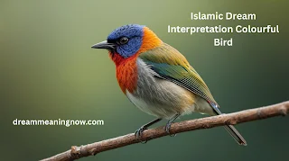 Islamic Dream Interpretation Colourful Bird