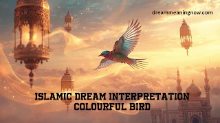 Islamic Dream Interpretation Colourful Bird