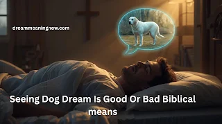 Seeing Dog Dream Is Good Or Bad Biblical means