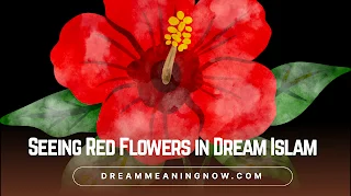Seeing Red Flowers in Dream Islam