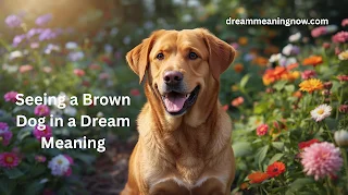 What does it mean to see a brown dog in your dream?