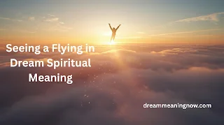 Seeing a Flying in Dream Spiritual Meaning