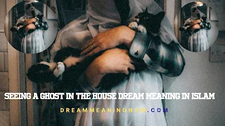 Seeing a Ghost in the House Dream Meaning