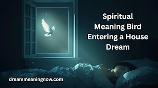 Spiritual Meaning Bird Entering a House Dream