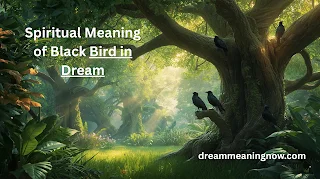 Spiritual Meaning of Black Bird in Dream