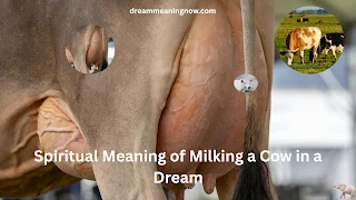 Spiritual Meaning of Milking a Cow in a Dream