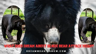 What does dream about black bear attack mean?