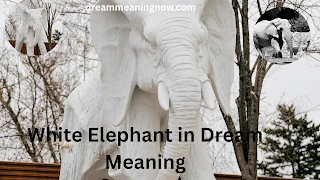 White Elephant in Dream Meaning