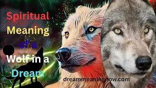 Spiritual Meaning of a Wolf in a Dream