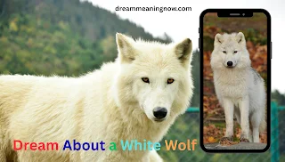 What does it mean when you dream about a white wolf?