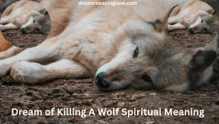 Dream of Killing A Wolf Spiritual Meaning