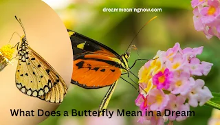 What Does a Butterfly Mean in a Dream